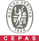 CEPAS – Certificazione delle professionalità
